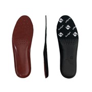 ANATOMICI IN PELLE SANITIZED